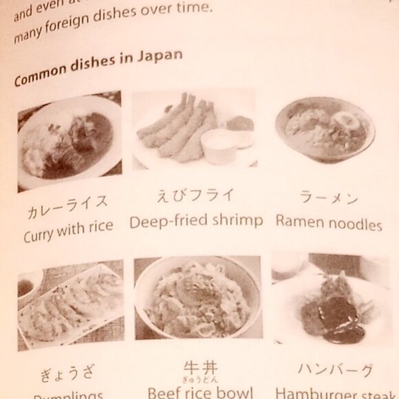 GENKI 1 An Integrated Course in Japanese Learning Textbook SECOND EDITION - Picture 5 of 9